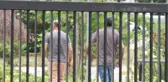 Büyükada'da Ormanlık Alanda Kadın Cesedi Bulundu