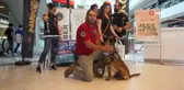 Narkotik köpeği 'Kongar' ilgi odağı oldu