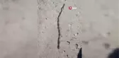 Tırtılların yolculuğu böyle görüntülendi