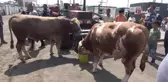 Konteyner kentte hüzünlü Kurban Bayramı