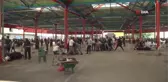 Osmangazi'de hijyenik kurban kesimi