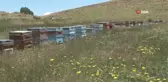 Bayramı aileleri yerine arılarının yanında geçiriyorlar