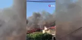 Datça'daki orman yangınında 25 hektarlık alan zarar gördü