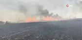 Buğday tarlası kül oldu