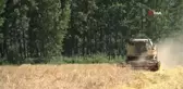 Sağanak yağışlar çiftçinin yüzünü güldürmedi