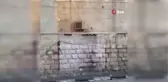 İsrail güçleri Cenin'de hastaneye ateş açtı: 3 yaralı