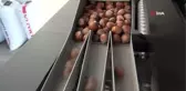 Kadın girişimci, fındığa katma değer katıyor