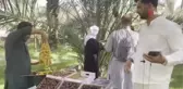 Medine hurma bahçelerinde hasat başladı