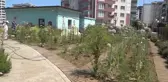 AtaTohum Merkezi'nde 457 çeşit ata tohumu bulunuyor