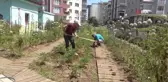 AtaTohum'da yazlık fideler toprakla buluştu