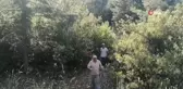 Eğirdir'de doğa yürüyüşünde kaybolan yaşlı adam ölü bulundu