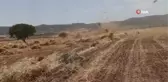 Fırtına mercimek tarlasını birbirine kattı