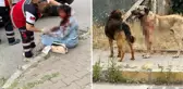 İstanbul'da köpeğin yoldan geçen kadına saldırdığı dehşetle ilgili 1 kişi gözaltında