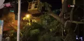 Turgutlu'da fırtına ağacı devirdi