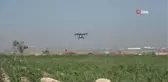Tarlalar Dron ile İlaçlanıyor