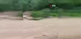 Artvin'de sağanak yağış sonrası dereler taştı, tarım arazileri zarar gördü