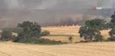 Keşan'da tarlada çıkan yangında 2 bin dönüme yakın arazi zarar gördü