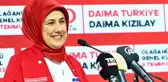 Son Dakika: Kızılay'ın Genel Başkanı Prof. Dr. Fatma Meriç Yılmaz oldu