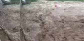 Zonguldak'ın ilçelerinde sağanak, taşkınlıklara neden oldu