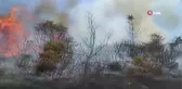 İzmir'de orman yangınlarına müdahale sürüyor