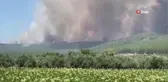 İzmir'deki orman yangınında vatandaşlar denizden tahliye ediliyor