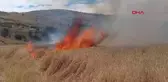 Tunceli'de Tarlada Çıkan Yangında 10 Dönüm Ekili Buğday Yandı
