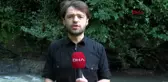 Ordu'da sel nedeniyle dereye düşen kadın için arama çalışmaları devam ediyor