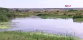 Dicle Nehri'ndeki Çöpler Hevsel Bahçeleri'ni Tehdit Ediyor