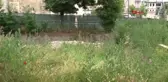 Sivas'ta Aziz Vlas Anıtı İnşa Edilecek