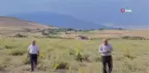 Temmuz ayında Süphan Dağı'nda kar yağışı