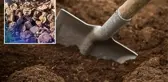 Tarlada çalışan adam, küreği toprağa vurunca gözlerine inanamadı! Resmen altın fışkırdı