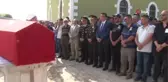 Orman işçisi 3. kazada şehit düştü