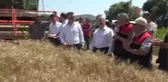 Sındırgı'da yerli üretim ile alınan verim yüzleri güldürdü