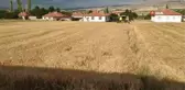 Tahıl ambarında arpa hasadı başladı