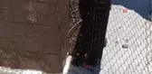 Amasya'da ormanda kaybolan adamın cesedi HES kanalında bulundu