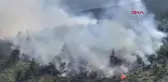 Balıkesir Dursunbey'de Orman Yangını
