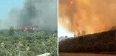 Bodrum'da orman yangını! Rüzgarın etkisiyle yayılan alevler büyük oranda kontrol altına alındı