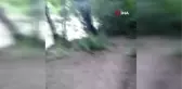 Amca diye seslendiği ayıyı besleyip öpücük gönderdi