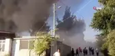 Kadirli Orman İşletmeye ait tomruk deposunda yangın
