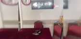 'Mazlum' adlı anne kedi, kendisine verilen yiyecekleri yavrularına taşıyor