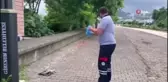 Yaralı martının imdadına belediye ekipleri yetişti