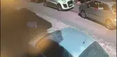 Gaziosmanpaşa'da Ev Sahibi Kiracısını Vurdu