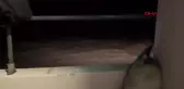 Deniz Kayadelen, Manş Denizi'ni geçerek adını tarihe yazdırdı