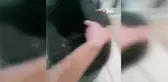 Yatalak hastalar için 'akıllı yatak'
