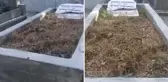 9 ay önce vefat etmişti! Ünlü oyuncu Billur Kalkavan'ın mezarının son hali içler acısı