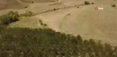 Türkiye'nin en geç kiraz hasadı Ahlat'ta yapılıyor