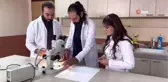 Uzman uyardı: 'Sarıkız' böceğine dikkat