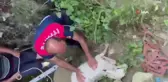 Sinop'ta kuyuya düşen koyun kurtarıldı