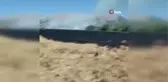 Burdur'da çıkan tarım arazisi yangınında 40 dönüm ekin küle döndü