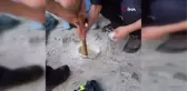 Gümüşhane'de tırıvırıyla kedi kurtarma operasyonu